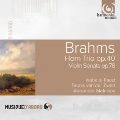 Trio for Violin, Horn and Piano in E-Flat Major, Op. 40: IV. Finale (Allegro con brio) Song Lyrics