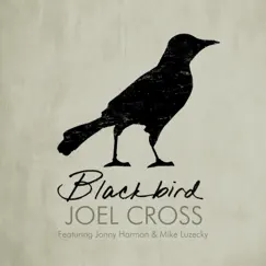 Blackbird (feat. Jonny Harmon & Mike Luzecky) Song Lyrics