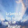 Las Mañanitas - Single album lyrics, reviews, download