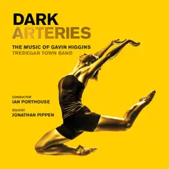 Dark Arteries by Tredegar Town Band album reviews, ratings, credits