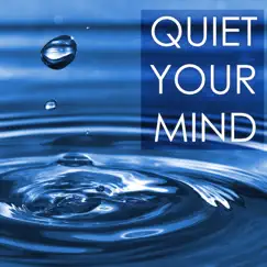 Quiet Your Mind - Calm Down Anxiety and Distress, Peaceful Meditation Music for Inner Peace by Relaxation Piano in Mind album reviews, ratings, credits