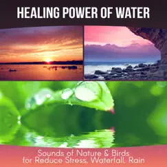 Healing Power of Water - Therapy Music for Yoga Meditation, Sounds of Nature & Birds for Reduce Stress, Waterfall, Rain by Calm Music Zone album reviews, ratings, credits
