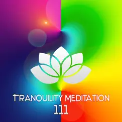 Tranquility Meditation 111: Nature Sounds, Spiritual Awakening, Relaxing Music, Zen, Healing Music, Mental Concentration by Healing Meditation Zone album reviews, ratings, credits