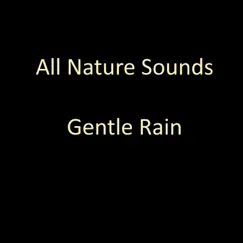 Steady Rain Song Lyrics