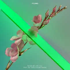 Never Be Like You (feat. Kai) [Disclosure Remix] - Single by Flume album reviews, ratings, credits