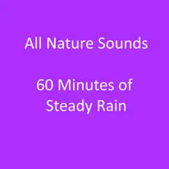 60 Minutes of Steady Rain by All Nature Sounds album reviews, ratings, credits