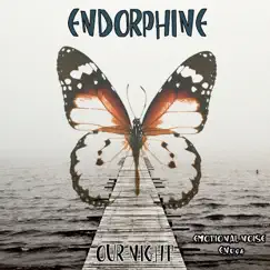 Our Night - Single by Endorphine album reviews, ratings, credits