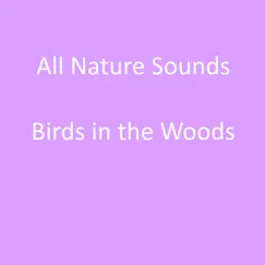 Two Minutes of Birds in the Woods Song Lyrics