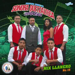 Llanero Cumbia 15: Que Te la Pongo / La Bolita / A Mover la Colita / Llámame / La Segunda del Cucu Song Lyrics