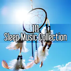 Sleeping Music (Relaxing New Age Music) Song Lyrics