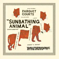 Sunbathing Animal by Parquet Courts album reviews, ratings, credits