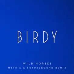 Wild Horses (Matrix & Futurebound Remix) Song Lyrics