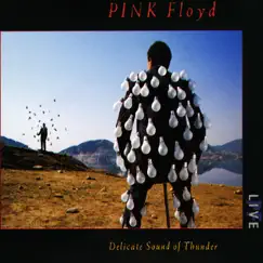 Delicate Sound of Thunder (Live) by Pink Floyd album reviews, ratings, credits