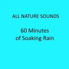 60 Minutes of Soaking Rain by All Nature Sounds album reviews, ratings, credits