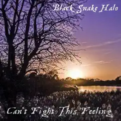 Can't Fight This Feeling - Single by Black Snake Halo album reviews, ratings, credits