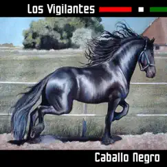 Caballo Negro Song Lyrics