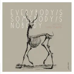 Everybody's Somebody's Nobody by Fred Frith & Darren Johnston album reviews, ratings, credits