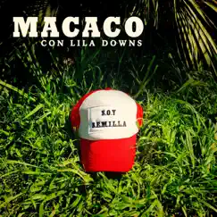 Semillas (with Lila Downs) - Single by Macaco album reviews, ratings, credits
