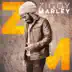 Ziggy Marley album cover