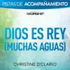Dios es Rey (Muchas aguas) [Audio Performance Trax] album lyrics, reviews, download