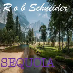 Sequoia Song Lyrics