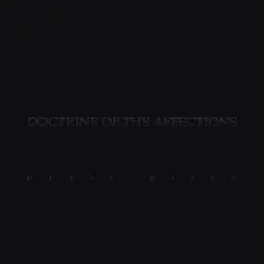 Distractions Song Lyrics