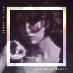 How Many Times - Single by Zebra Island album reviews, ratings, credits