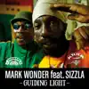Guiding Light (feat. Sizzla) - Single album lyrics, reviews, download