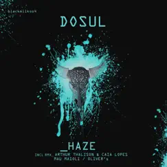 Haze (Mau Maioli Remix) Song Lyrics