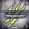 Freedom (feat. Akil Wingate) - Single album lyrics, reviews, download