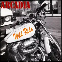 Wild Ride Song Lyrics