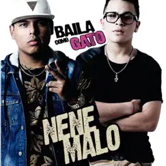 Baila Como Gato - Single by Nene Malo album reviews, ratings, credits