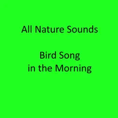 Birds Singing in the Morning Song Lyrics