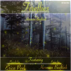 Fireflies (feat. Erica Peel) Song Lyrics