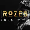 Burn Wild album lyrics, reviews, download
