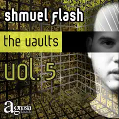 The Vaults, Vol. 5 by Shmuel Flash album reviews, ratings, credits