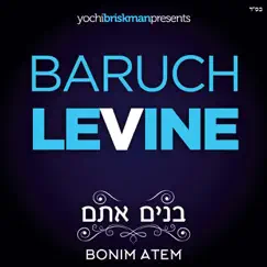 Bonim Atem by Baruch Levine album reviews, ratings, credits