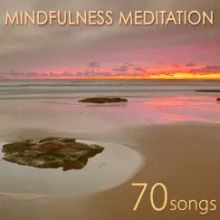 Mindfulness Meditation – 70 Powerful Meditation Songs for Raja Yoga and Mindfulness by Naturescapes for Mindfulness Meditation album reviews, ratings, credits
