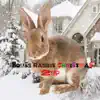 House Rabbit Christmas - Single album lyrics, reviews, download