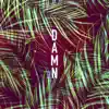 Damn (Club Edit) - Single album lyrics, reviews, download