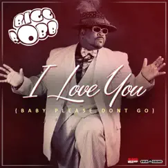 I Love You (Baby Please Don't Go) - Single by Bigg Robb album reviews, ratings, credits