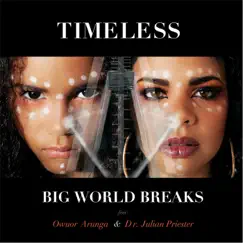 Timeless - Single by Big World Breaks album reviews, ratings, credits
