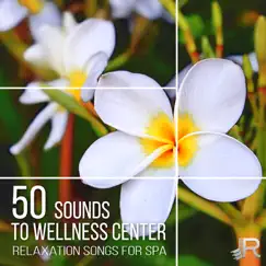50 Sounds to Wellness Center - Relaxation Songs for Spa & Reiki, Music Therapy for Meditation and Yoga, Healing Nature Sounds by Mindfulness Meditation Music Spa Maestro album reviews, ratings, credits