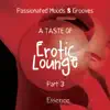 A Taste of Erotic Lounge, Pt. 3 (Passionated Moods & Grooves) album lyrics, reviews, download