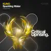 Sparkling Water - Single album lyrics, reviews, download