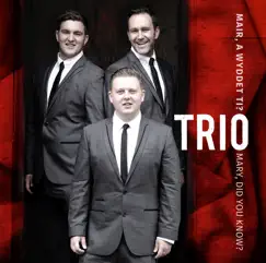 Mair, A Wyddet Ti? / Mary, Did You Know? - Single by Trio album reviews, ratings, credits