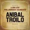 Palomita Blanca (feat. Orquesta De Anibal Troilo & Roberto Grela) song lyrics