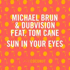 Sun in Your Eyes (feat. Tom Cane) Song Lyrics