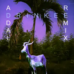 Drinkee (Addal Remix) Song Lyrics
