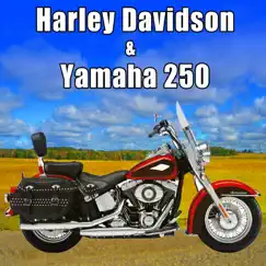 Yamaha 250cc Motorcycle Pulls up from Left at a Fast Speed, Stops, Idles & Shuts Off Song Lyrics